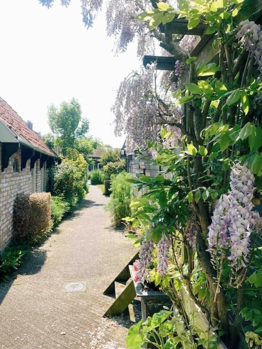 Uniek Vakantieverblijf Den Burg Kültér fotó